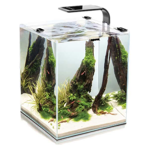 Aquael Shirmp D And N Complete Aquarium 19l Preto