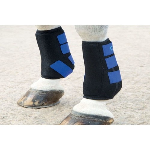 Botas esportivas de neoprene azul royal ARMA para equitação