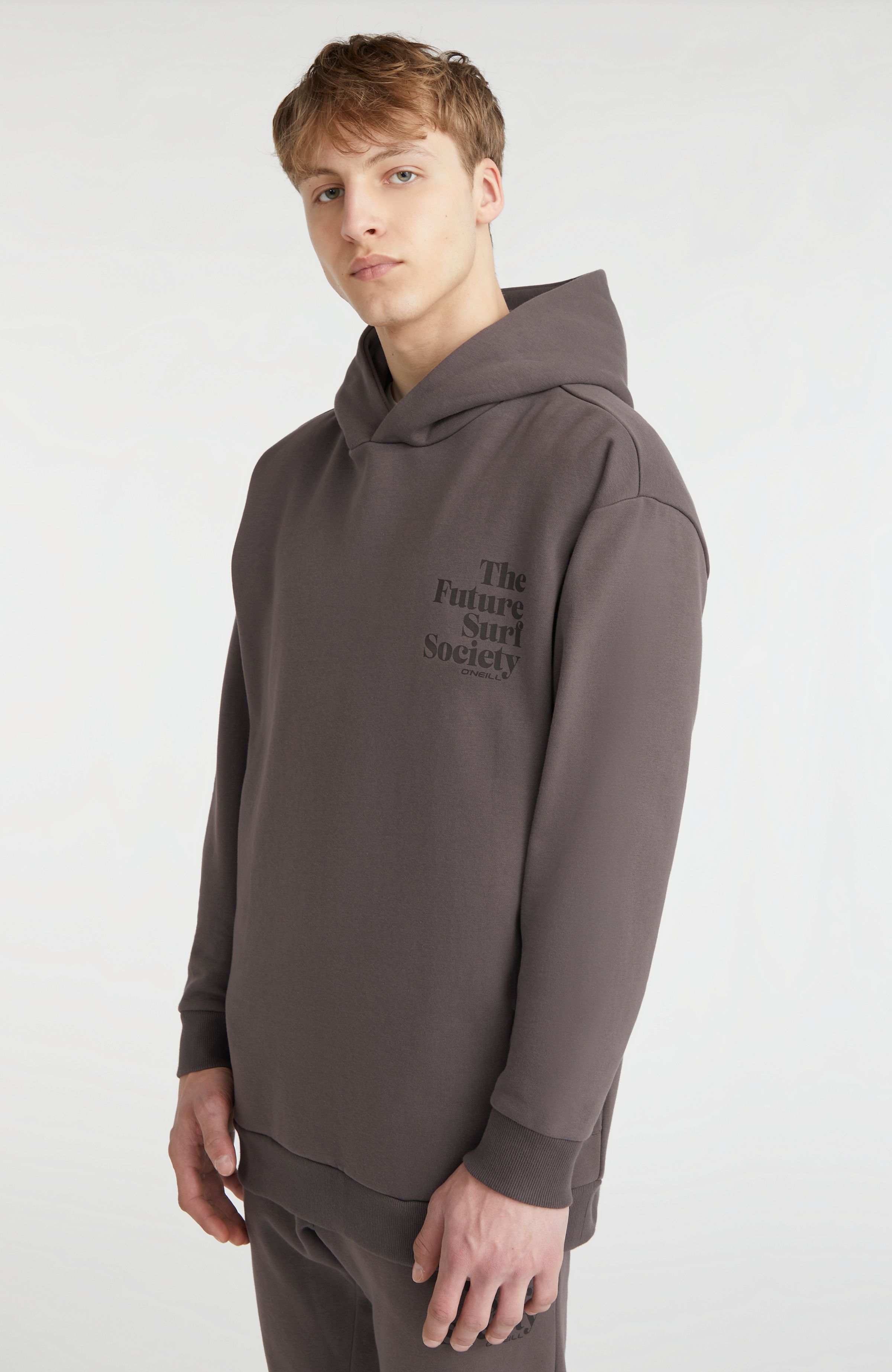 Hoodie Future Surf Society O`Neill Grijs
