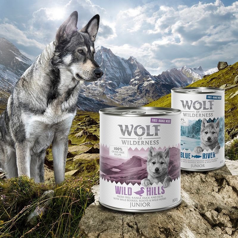 Wolf of Wilderness Junior Free range 6 x 400 g