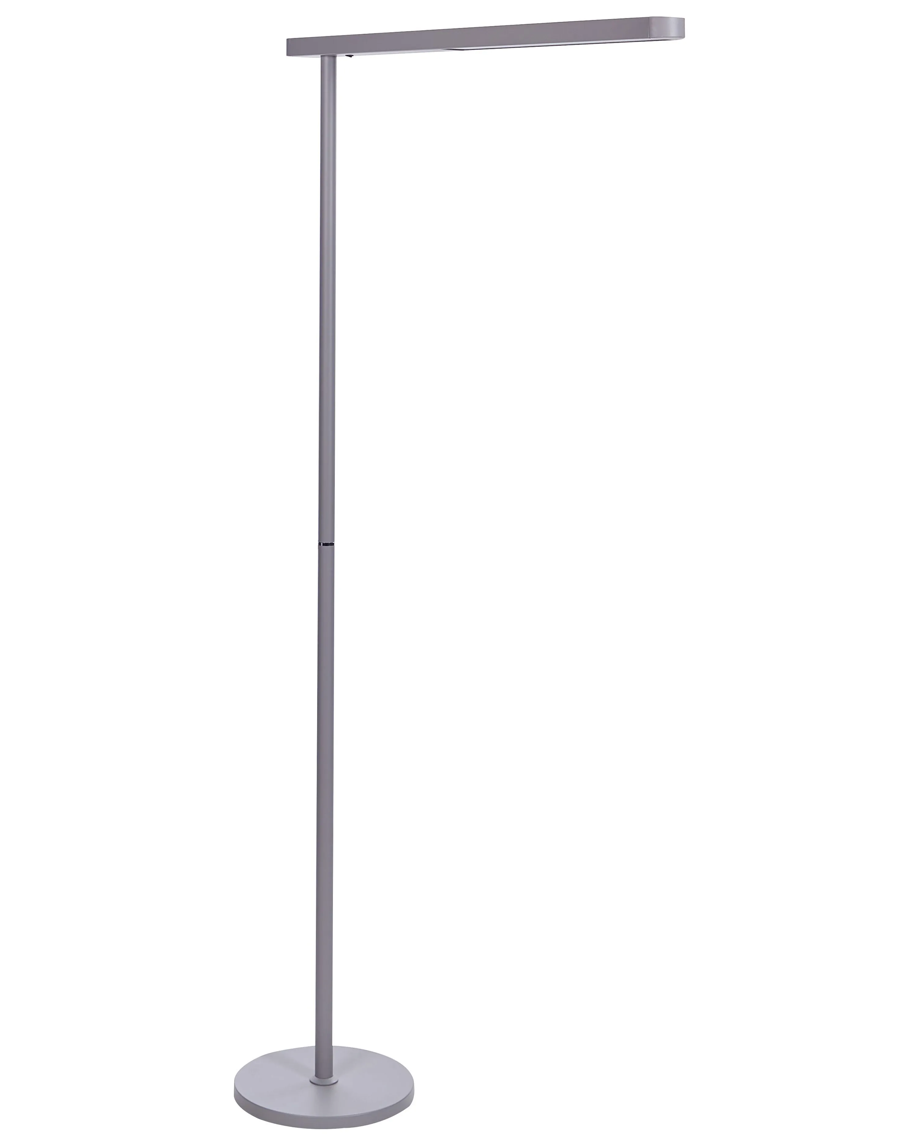 LED staande lamp PERSEUS Metaal Zilver