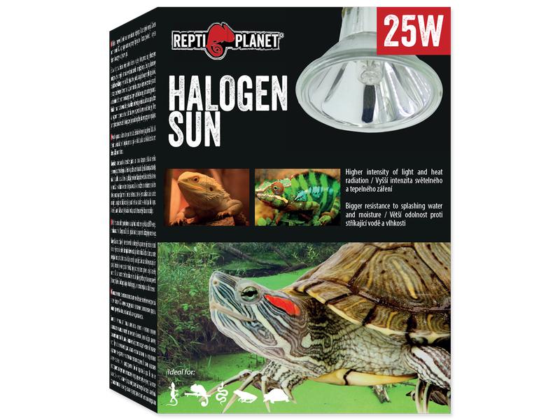Repti Planet Terrarienlampe Halogen Spot 25 W Spotbeleuchtung für Terrarien