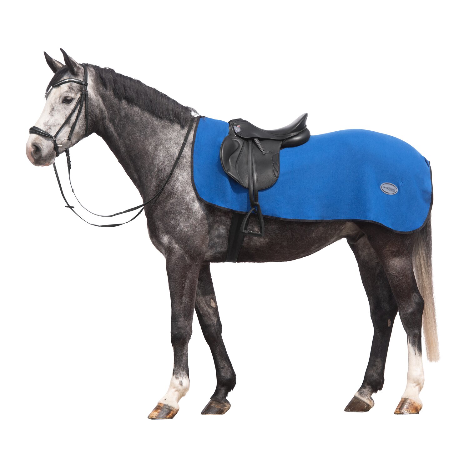 Horse-friends Ausreitdecke - royalblue