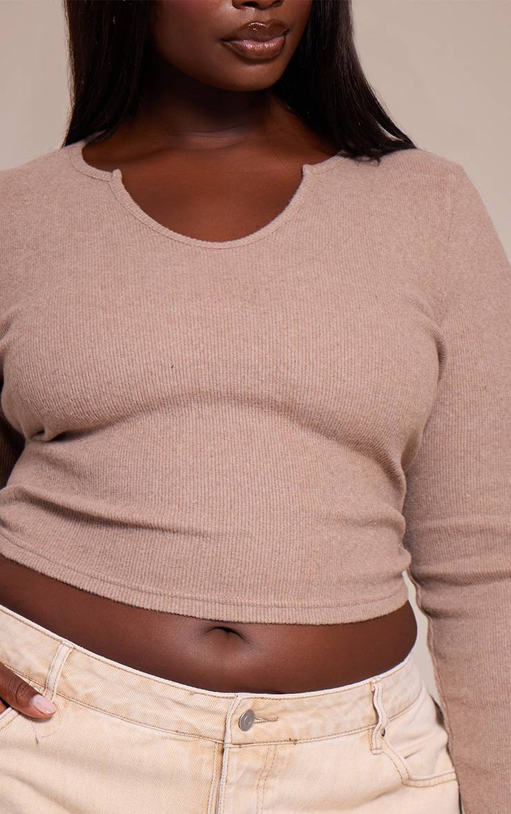 Avoine Haut Grande Taille Côtelé Toucher Doux Col Rond Manches Longues