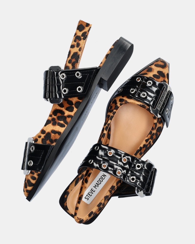 Steve Madden Grand Ave-L Ballerinas & instappers  - zwart