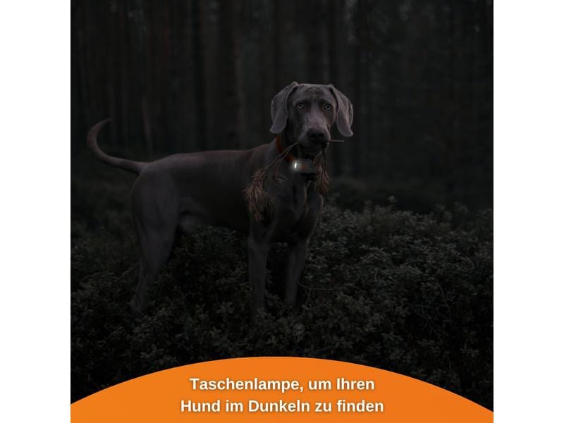Weenect GPS-Tracker XS für Hunde, Weiss Der kleinste GPS-Tracker für Hunde mit integrierter Taschenlampe