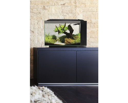 Aquarium Fluval Spec XV 60L met LED-verlichting en filtersysteem, zwart