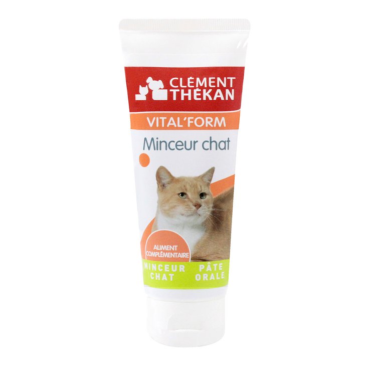Vital'form minceur chat 100g