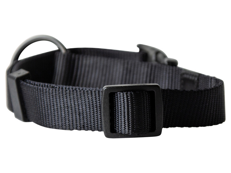 Halsband met lijn