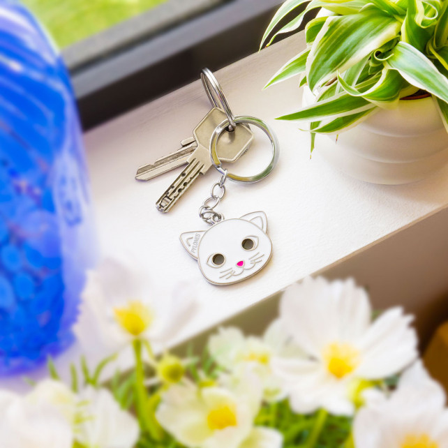 Porte clés - My Ani Keys
