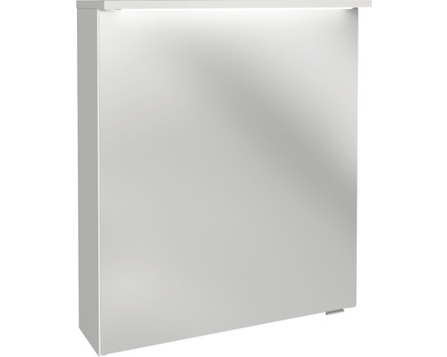 FACKELMANN Oxford spiegelkast, 60,2 x 20 x 69,6 cm, wit, 1-deurs, LED, IP20