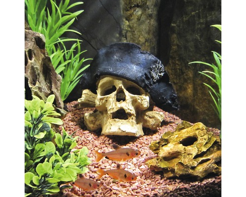 Aquarium decoratie schedel medium
