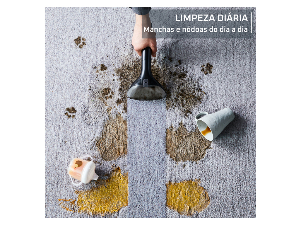 MÁQUINA DE LIMPEZA ROWENTA IN5011F0 CLEAN IT