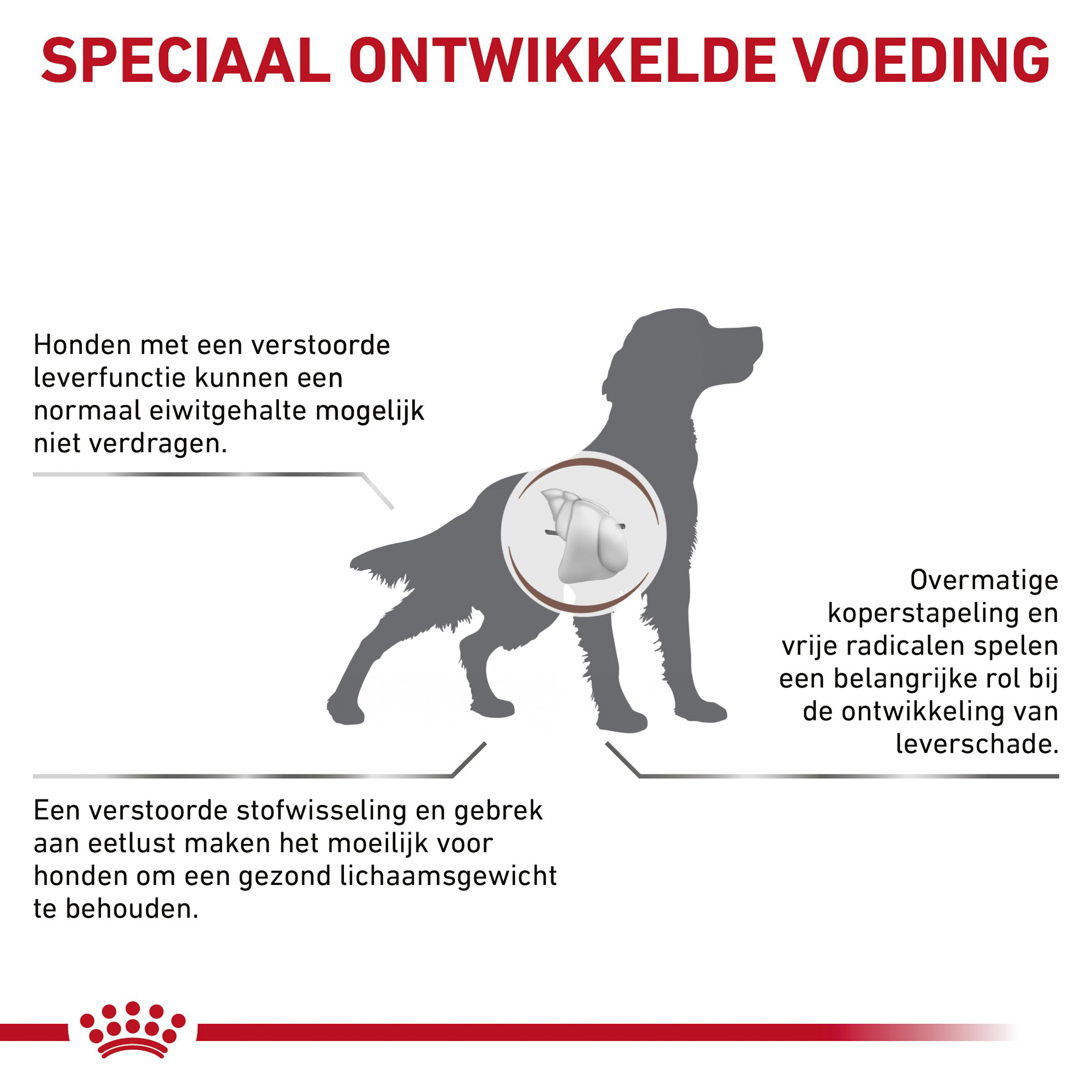 Royal Canin Hepatic Hond