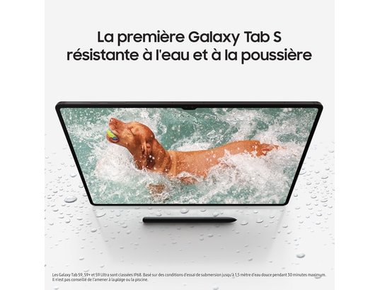 SAMSUNG - Tablette tactile Galaxy Tab S9+ 12.4'' Wifi 256 Go Anthracite