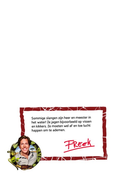 Freek Vonk | Succeskaart | Slang