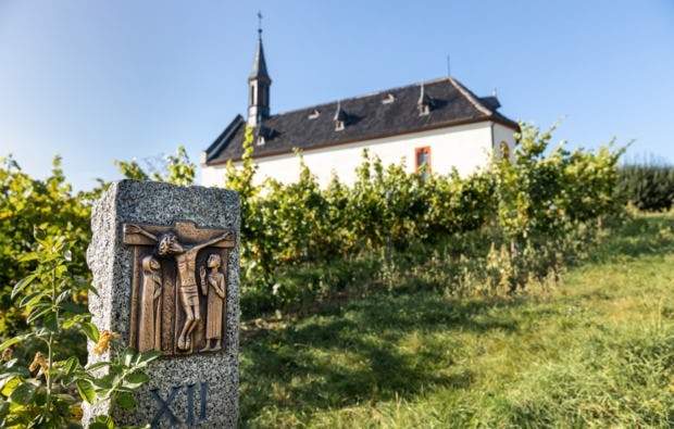 Weinbergwanderung in Worms als Geschenkidee