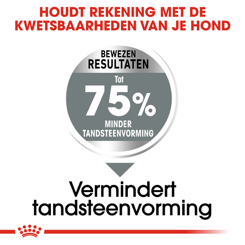 Royal Canin Maxi Dental Care - Hondenvoer