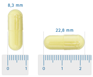 Vitalize Quercetine Complex Forte Capsules 60CP