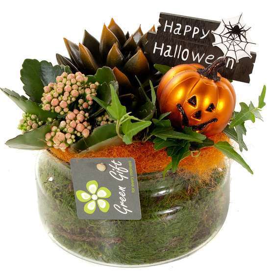 Compo Halloween : verrerie D16cm