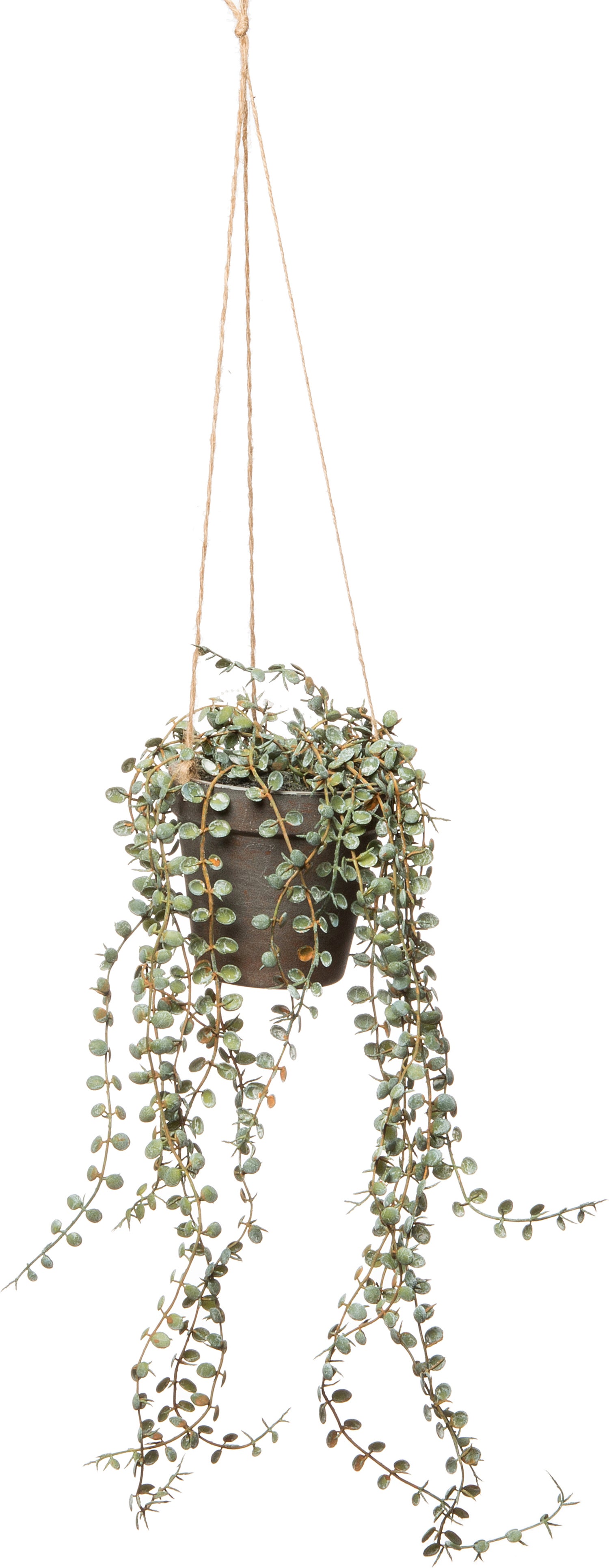 Intratuin kunsthangplant 11 x 11 x 45 cm