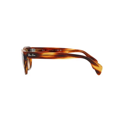 Ray Ban RB0880S Solbriller, Havana