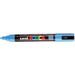 Marqueur à pigment PC-5M