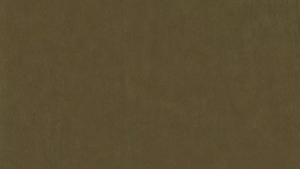 Kopfstütze 24252 foscaari