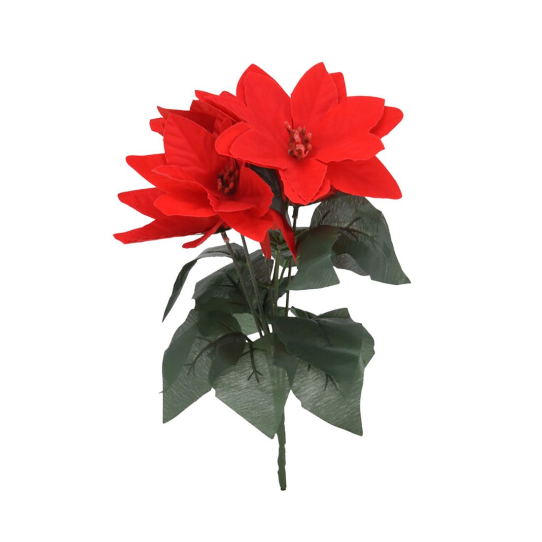 Julestjerne i potte 25cm