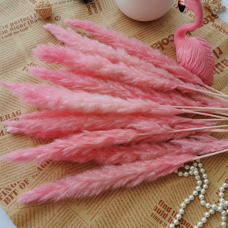 (30er Set) 60cm Deko Pampas Gras Boho Trockenblumen Hygge Lifestyle - Rosa