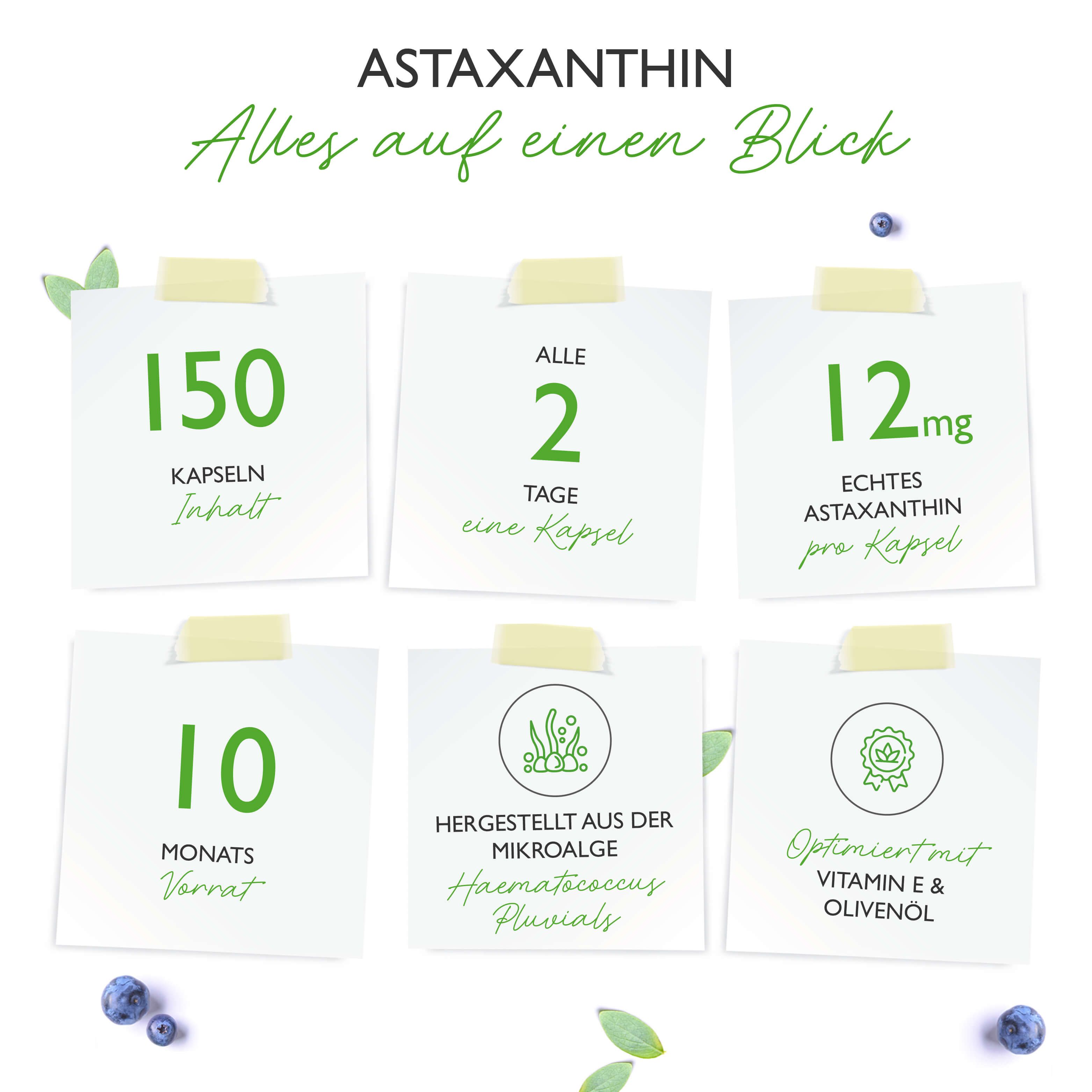 vit4ever Astaxanthin 12 mg