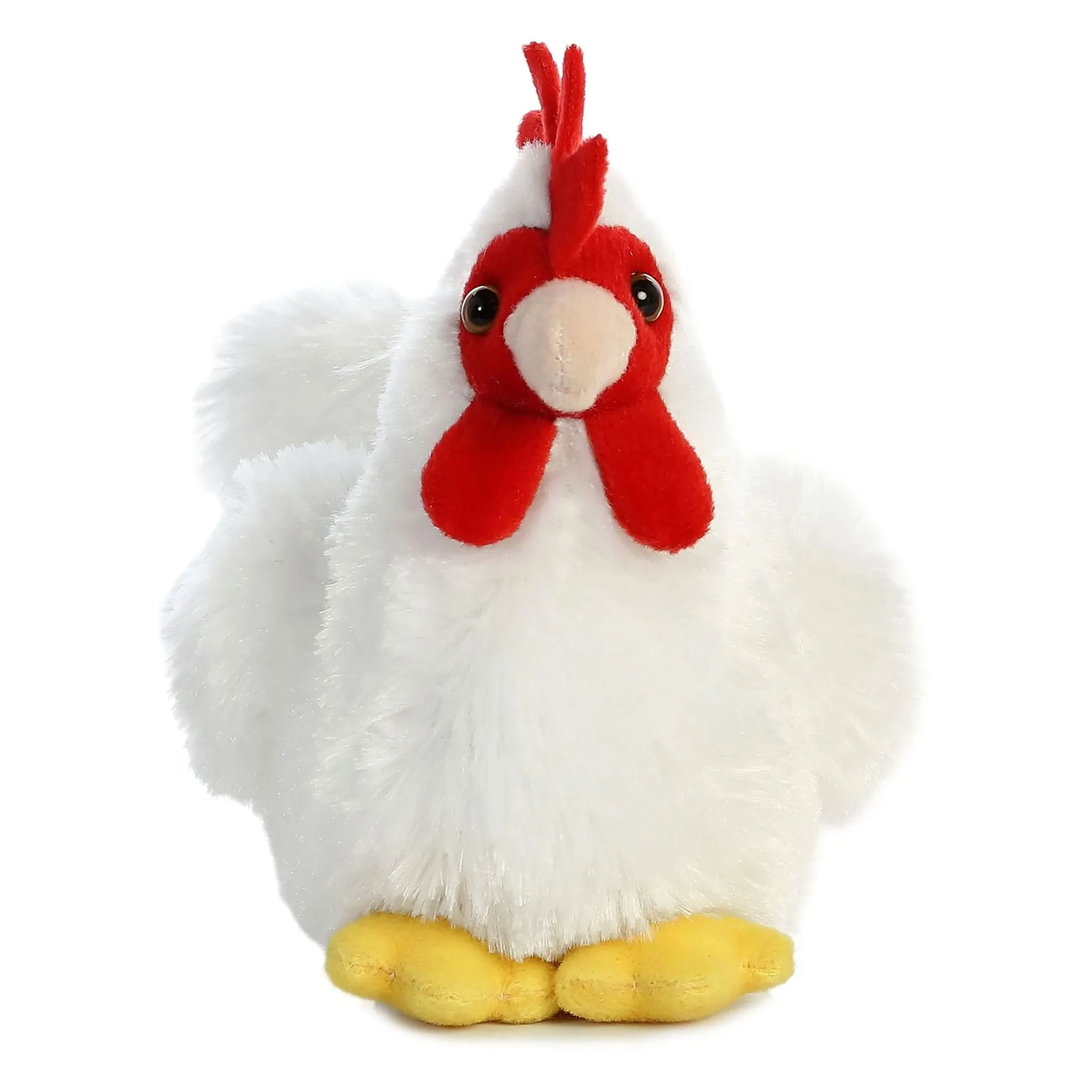 Aurora Poule