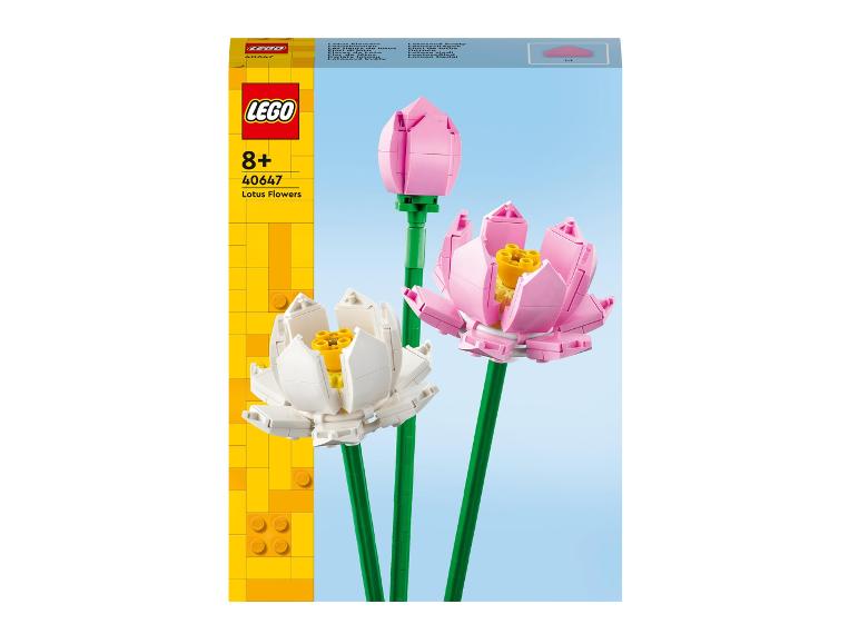 40647 Lotusbloemen
