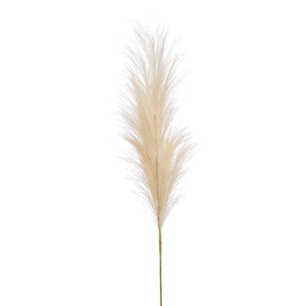 Pampas stem crème 79 cm