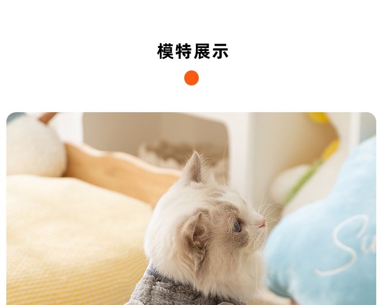 2 nachten - Bear Chenille Pet Top