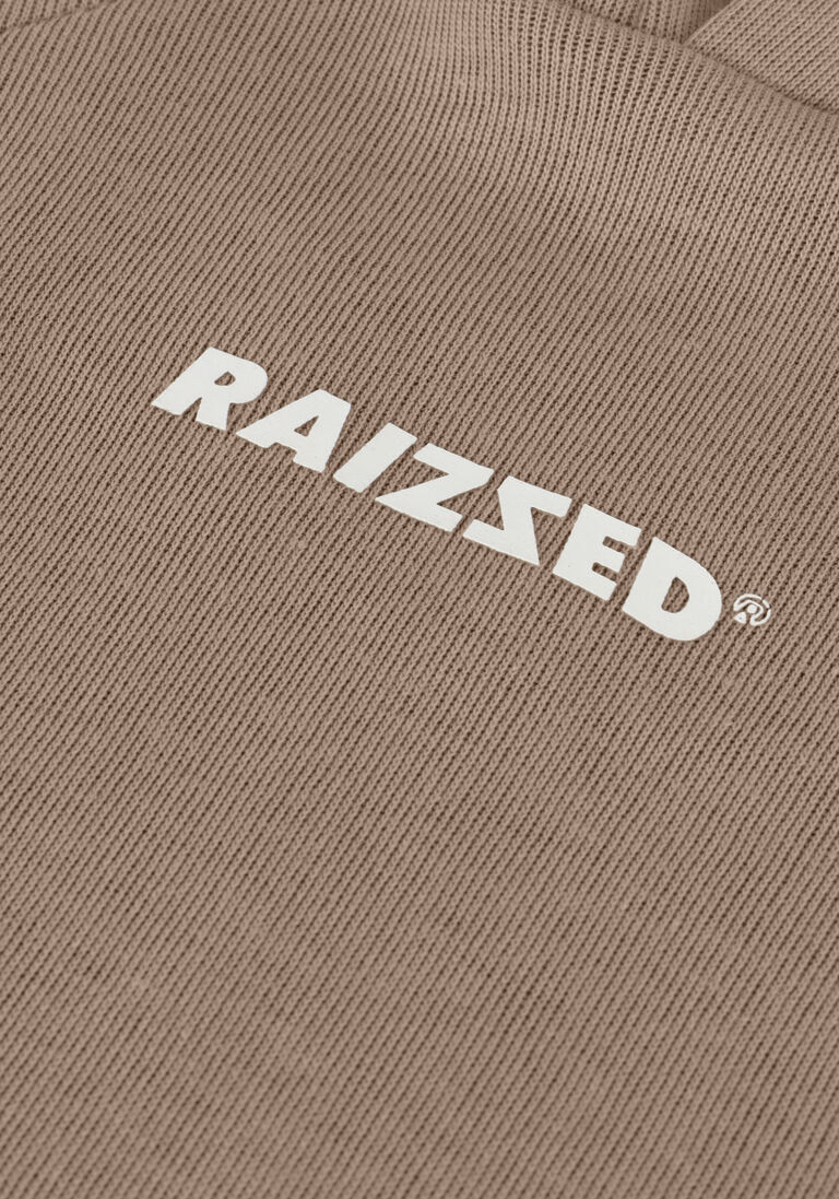 RAIZZED bruine raizzed trui williston