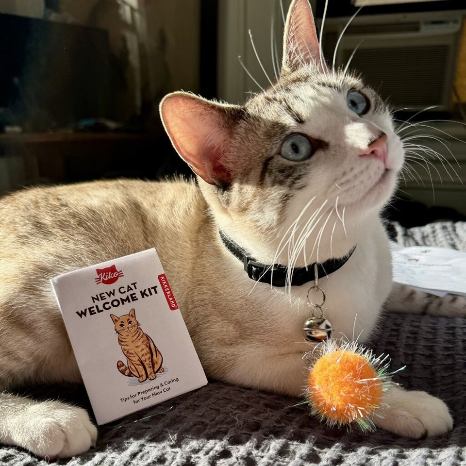 Welcome Cat Tin