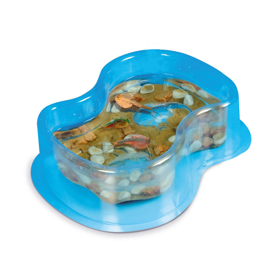 Clementoni Kweek je eigen Triops