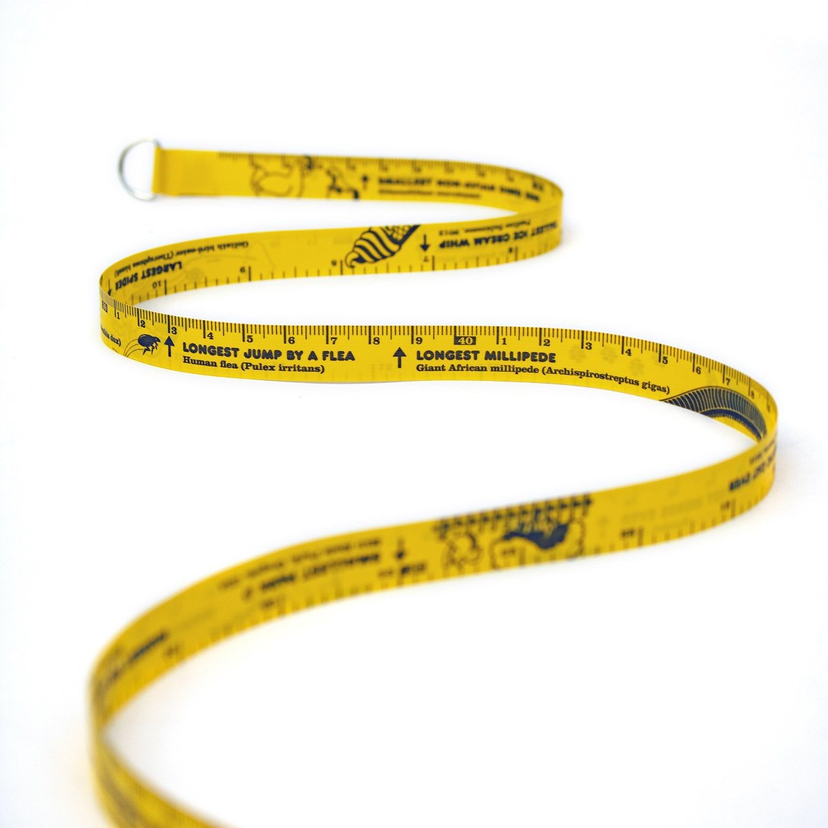 Guinness World Records Tape Measure