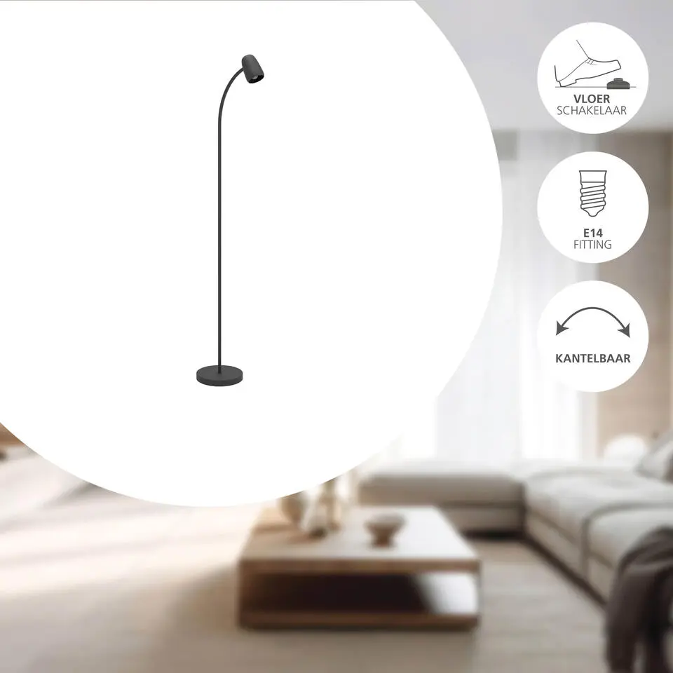 EGLO Carlo Vloerlamp - E14 - 170 cm - Zwart - Kantelbaar