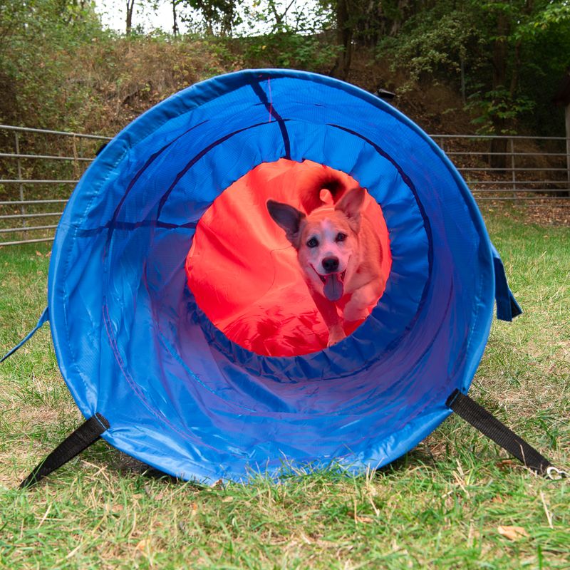 Sac tunnel Agility Fun & Sport à prix discount sur bitiba.fr