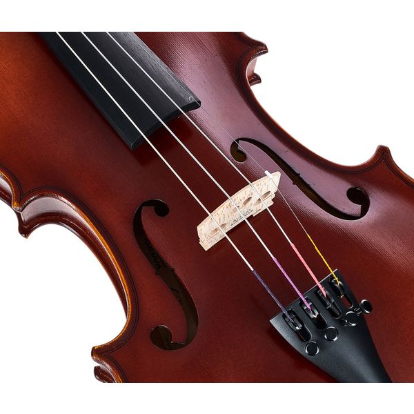 Gewa Allegro Violin Set 4/4 OC CB