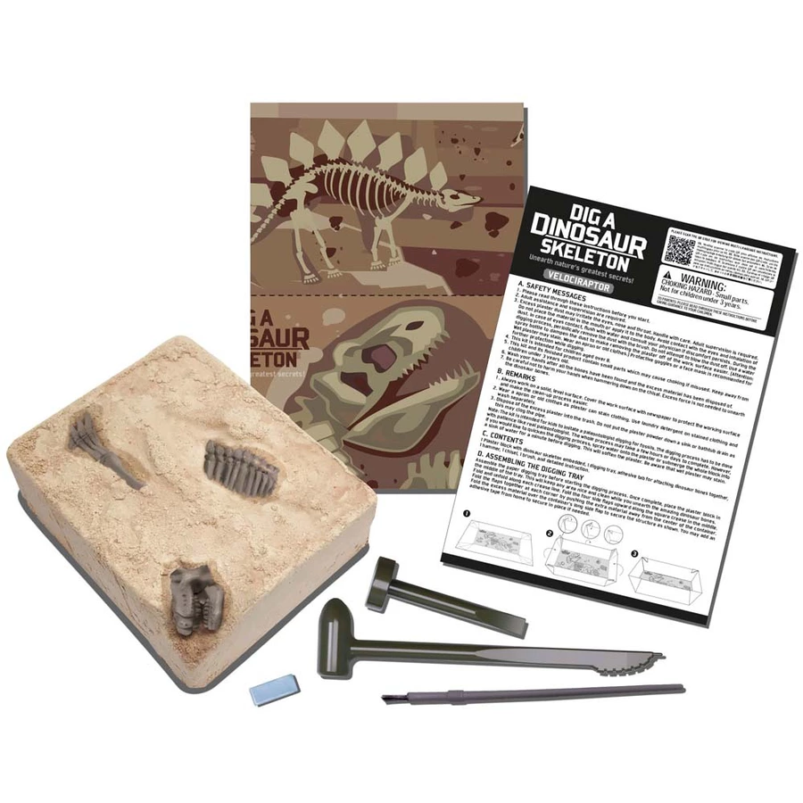 4M KidzLabs - Dinosaurier Ausgrabung Velociraptor Mehrfarbig