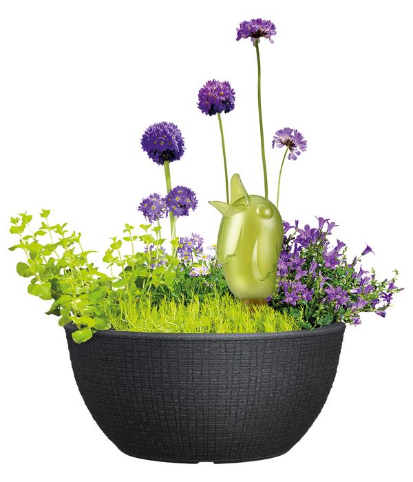 Scheurich Kunststoff-Topf Barceo Bowl, rund,
