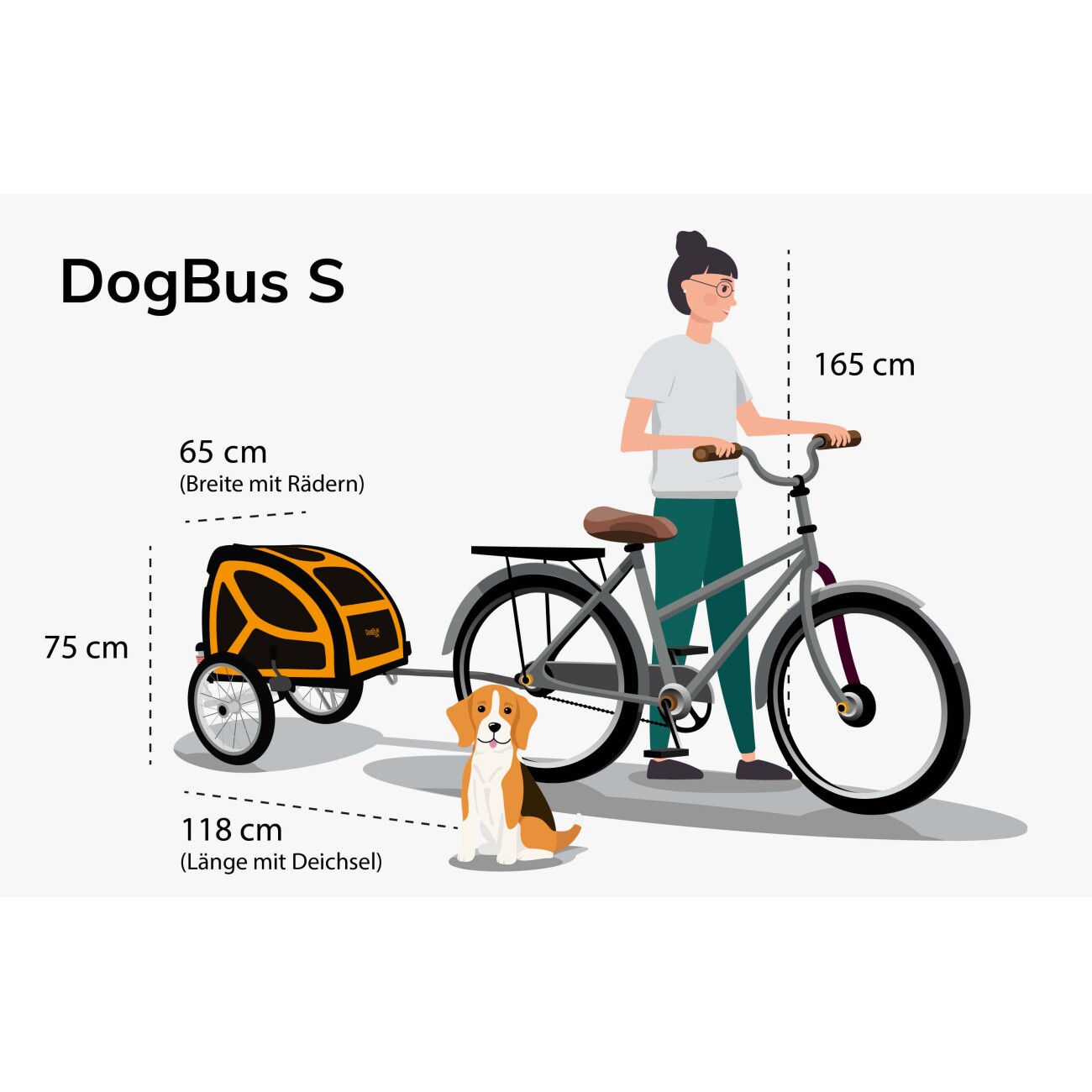 TrendPet DogBus gefederter Fahrradanhänger für Hunde