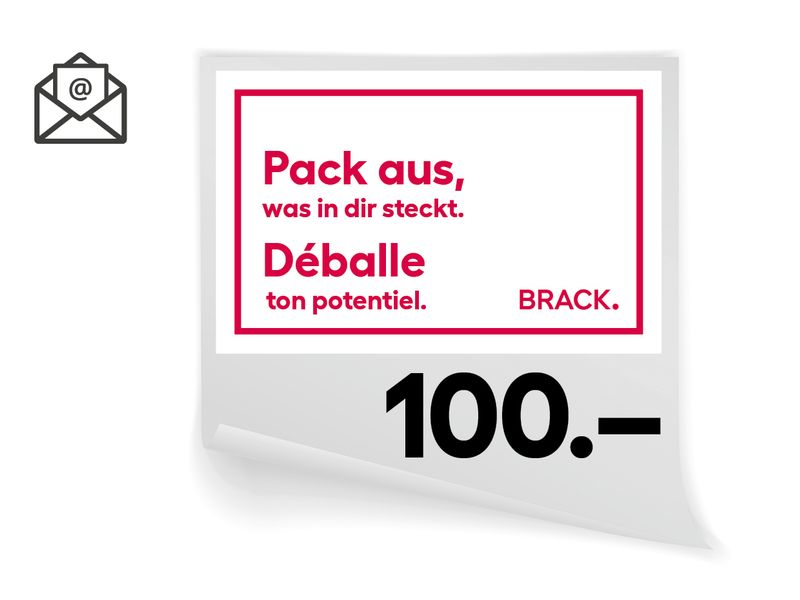 BRACK.CH Online-Geschenkgutschein CHF 100.- Online-Geschenkgutscheine – Lieferung per E-Mail!
