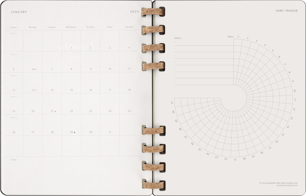 Life Planner 2025 XL 12-Month, Spiral