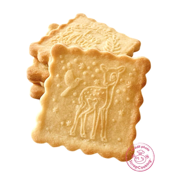 Kit décoration de biscuits Forêt enchantée Scrapcooking