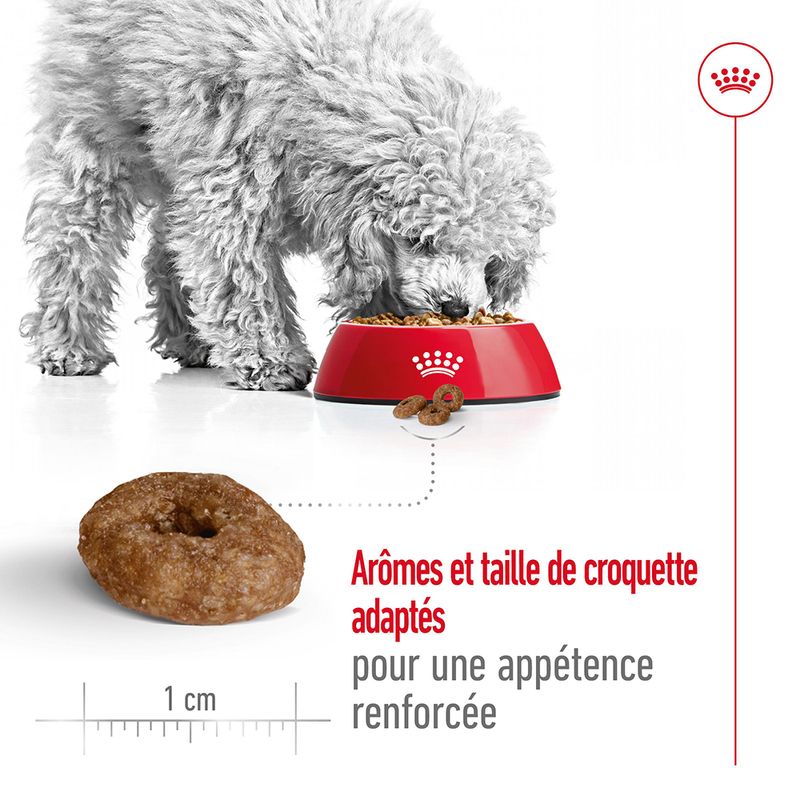 Royal Canin Mini Ageing 12+ à prix discount sur bitiba.fr
