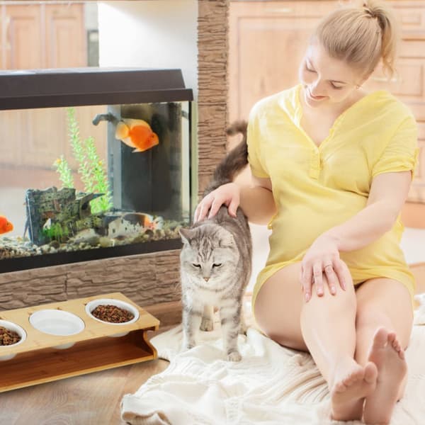 Fôringsstasjon for katter med 3 skåler